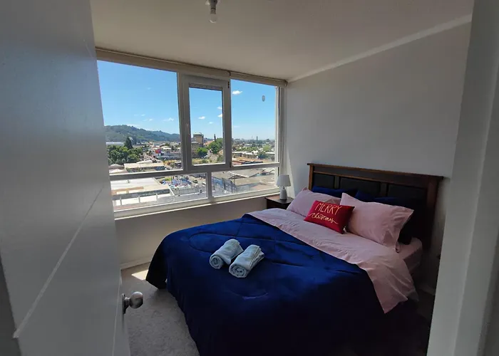 Acogedor Departamento En Temuco